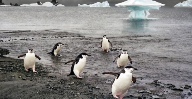 Image of penguins on ice