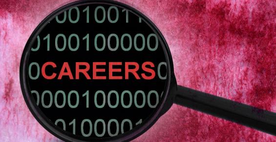 IT Career Trends and Predictions 2024 From Industry Insiders