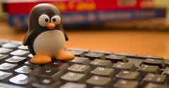 Tux penguin, emblem of the Linux operating system, on a computer keyboard