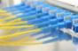 yellow and blue datacenter cables