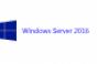 Fix WinRM crash on Windows Server 2016